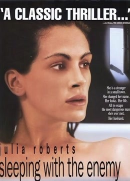 与敌共眠封面图