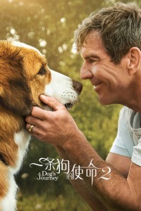 一条狗的使命2封面图