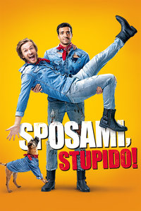 嫁我吧，哥们封面图