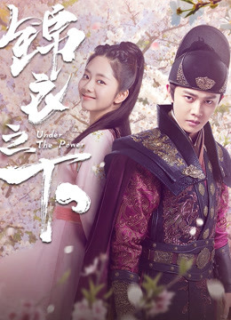 锦衣之下封面图