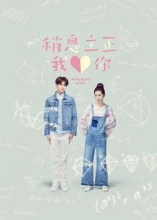 稍息立正我爱你封面图