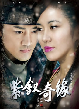 紫钗奇缘封面图