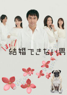 还是不能结婚的男人封面图