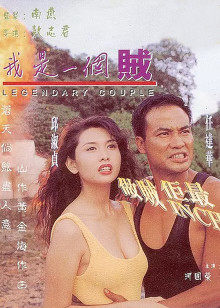 我是一个贼封面图