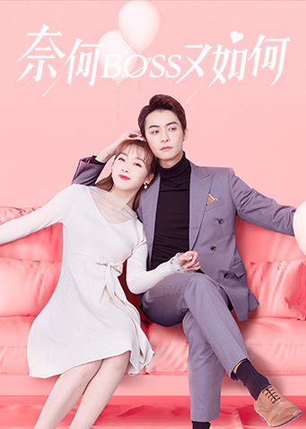 奈何BOSS又如何封面图