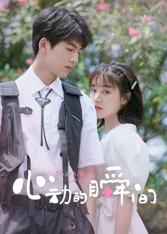 心动的瞬间封面图