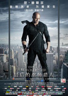 最后的巫师猎人封面图