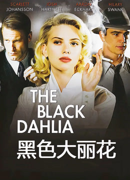 黑色大丽花封面图