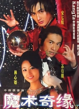 魔术奇缘封面图