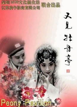 又见牡丹亭封面图