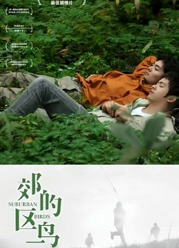 郊区的鸟封面图