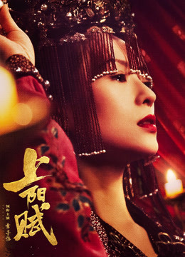 上阳赋封面图