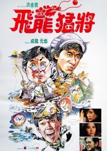 飞龙猛将封面图