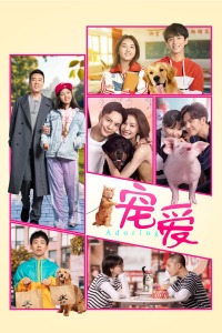 宠爱封面图