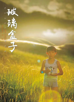 玻璃盒子封面图