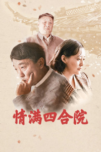 情满四合院封面图