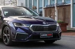 良心の「ジョイント ベンチャー」であるこれらの 2 台の車は手頃な価格で、シャーシはしっかりした出来映えです。