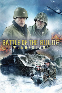 最后的狙击战封面图