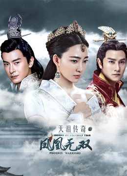 天泪传奇之凤凰无双封面图