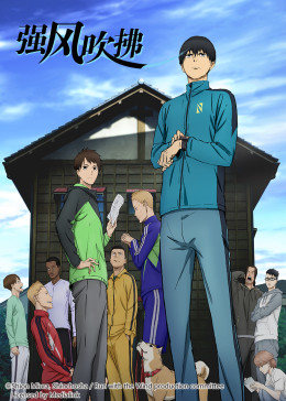 强风吹拂封面图