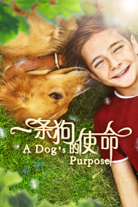 一条狗的使命封面图