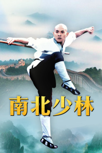 南北少林封面图