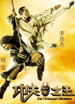 功夫之王封面图