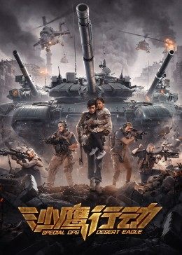 沙鹰行动封面图
