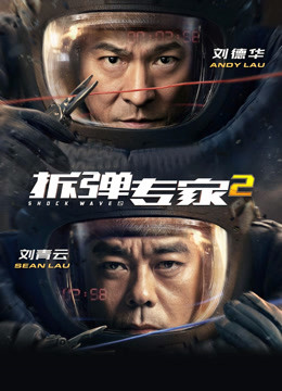 拆弹专家2封面图