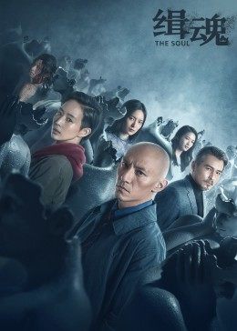 缉魂封面图
