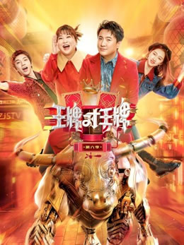 王牌对王牌第六季封面图