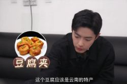 Xiao Zhan の Qingdao 名物スナック vlog がインターネットでホット検索されていますが、何が起こったのですか?