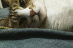 如何轻松瘦40斤？