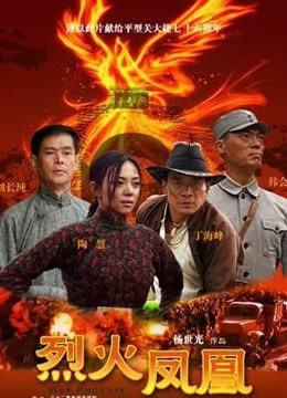 烈火凤凰封面图