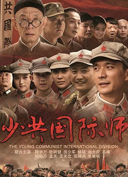 少共国际师封面图