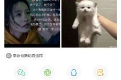 HuangJingyuとLiQinのWeibo鉄ファンがインターネットのホット検索に参加していますが、何が問題になっていますか？
