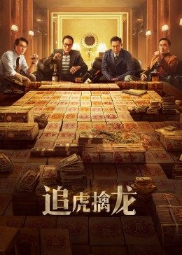 追虎擒龙封面图