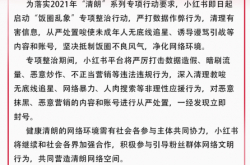 Xiaohongshu: إطلاق إجراء تصحيح خاص لـ "الفوضى في دائرة الأرز" لقمع المحتوى الذي يحرض القاصرين على التسبب في الحرب
