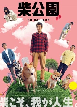柴犬公园封面图