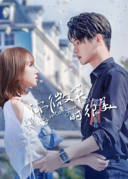 你微笑时很美封面图