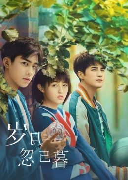 岁月忽已暮封面图