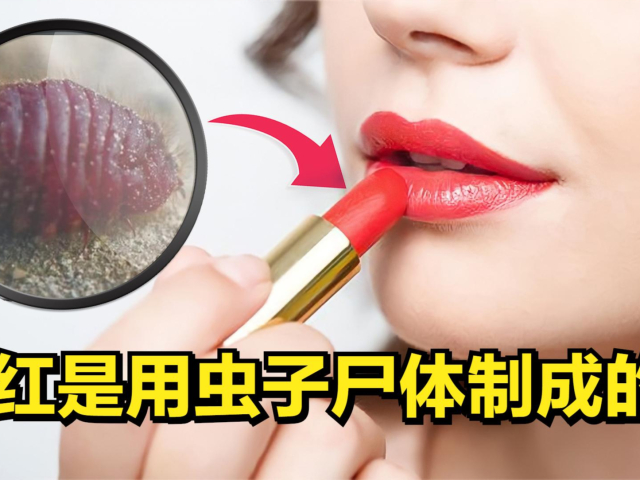 口红是用虫子尸体制成的,越贵的虫子越多,看完你还敢用口红吗?