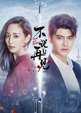 不说再见封面图