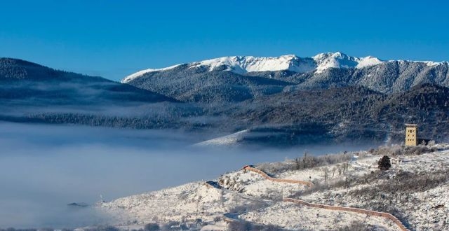 ��������ܣ�ֲ����ô�죿������ǧ��Ϊ��ϡֲ�ｨ������