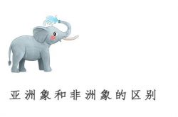 幸せな象の中には「横になった」人もいれば、「道を進んでいる」人もいます。