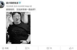 توفي وانغ يون تشينغ ، مدير "الدماغ الأقوى" ، وأصدر استوديو منغ فاي نصب تذكاري