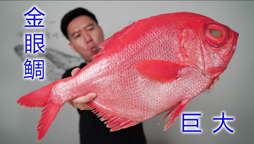 试吃巨大金眼鲷,眼睛比鸡蛋还大,上等刺身,强烈推荐