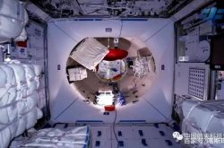 سر الحياة في الفضاء لرواد الفضاء: "العناصر الشخصية" دمية رائد فضاء عام الثور معلقة في الوحدة الأساسية