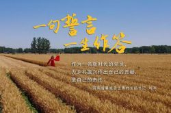 【热搜】95后村支书打造梦幻彩虹村（梦幻西游哪个地方有彩虹）