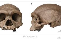 اكتشف العلماء الصينيون جنسًا جديدًا منذ 146000 عام